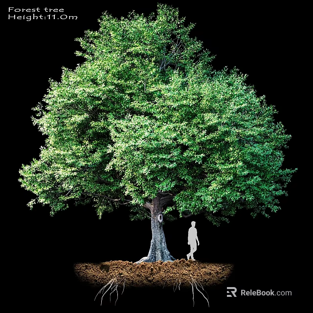 Garden Ornament Featuring Tall Tree With Lush Green Foliage And Silhouette Figure On Soil Ground 3d model 