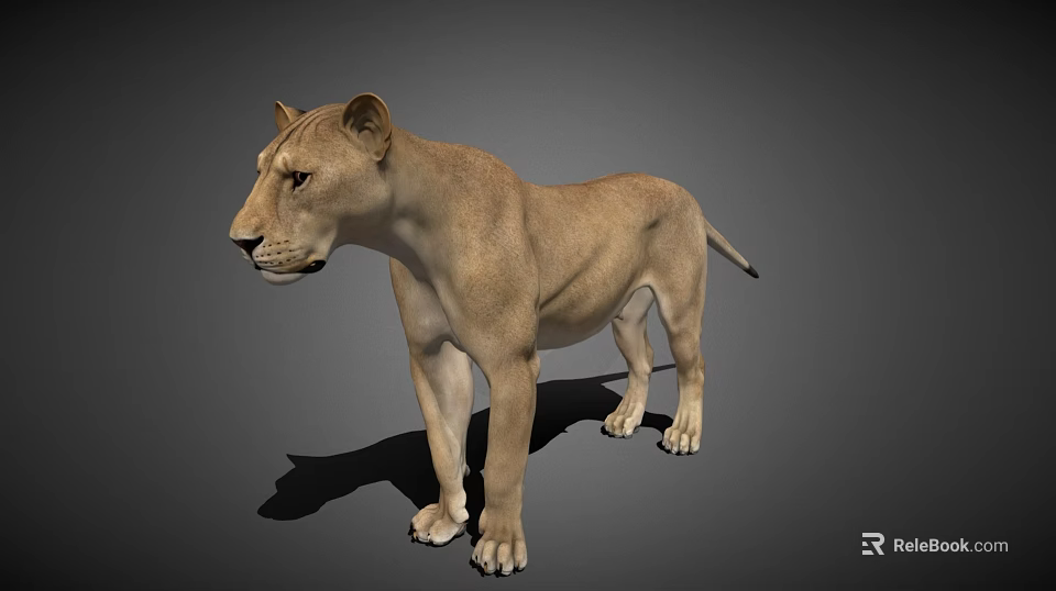3D Lioness Model Standing Side View With Light Brown Fur And Detailed Shadow 3d model 