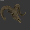 Unique Ram Skull Sculpture With Curved Horns Metal Art Decorative Ornament