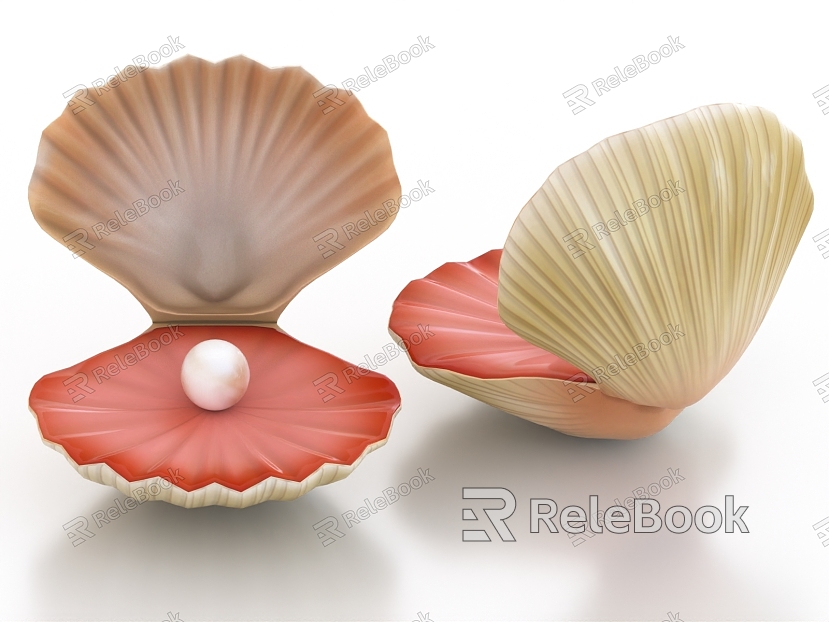 Sea shell clam shell pearl model