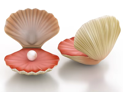 Beautiful Open Marine Shellfish With Pink Interior Beige Exterior And Pearl Inside 3d model