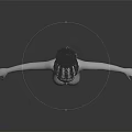 Braided Bun Hairstyle On 3D White Model With Facial Organs And Hair Details