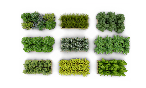 green plant wall 3d model