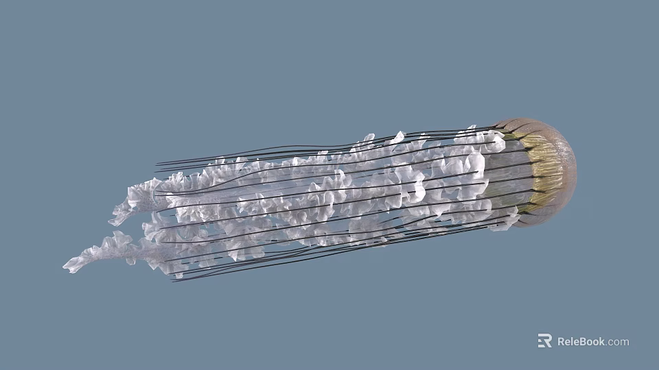 Graceful Transparent Jellyfish With Long Tentacles Swimming In Blue Water 3d model 