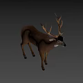 Realistic Brown Deer With Large Antlers Standing In Natural Pose