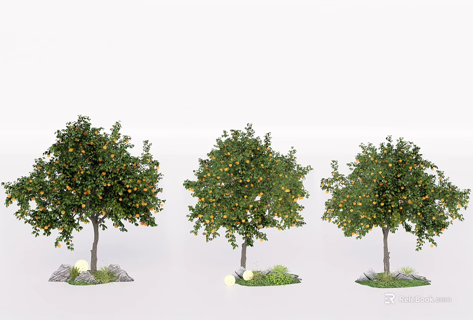 Three Arbor Trees with Orange Fruits Surrounded by Stones and Green Plants 3d model 