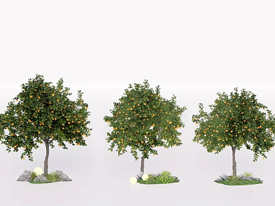 Three Arbor Trees with Orange Fruits Surrounded by Stones and Green Plants 3d model