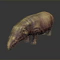 Brown Hippopotamus 3D Model With Textured Surface Standing On Dark Background And Reflection