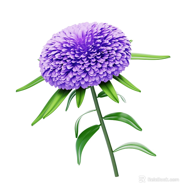 Vibrant Purple Chrysanthemum Plant with Green Stem and Lush Green Leaves 3d model 