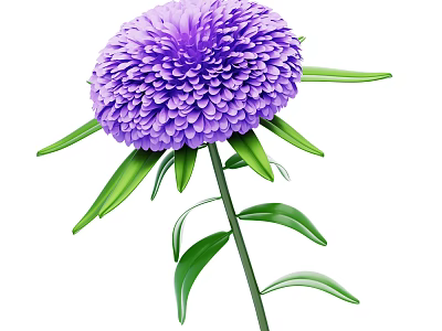 Vibrant Purple Chrysanthemum Plant with Green Stem and Lush Green Leaves 3d model