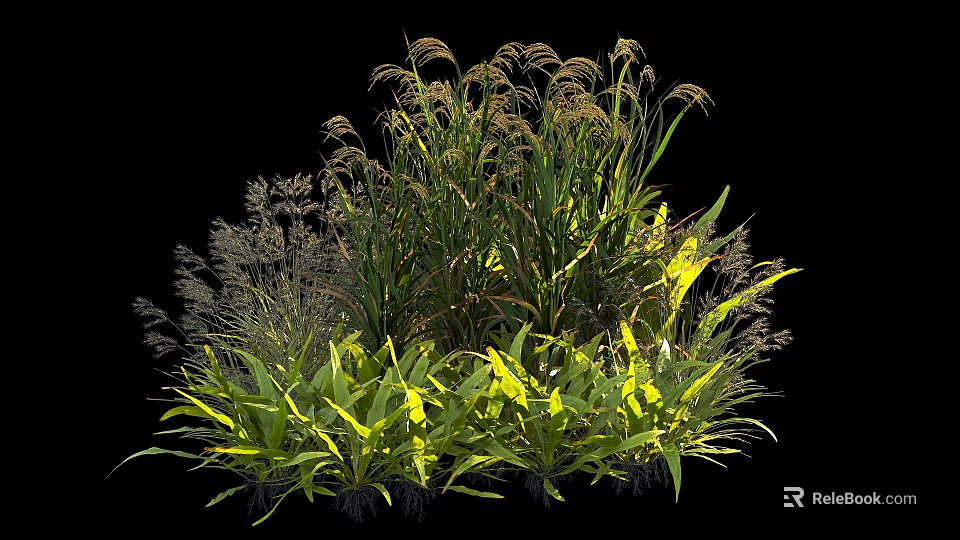 Diverse Garden Shrubs With Lush Green Foliage And Mixed Plant Varieties 3d model 