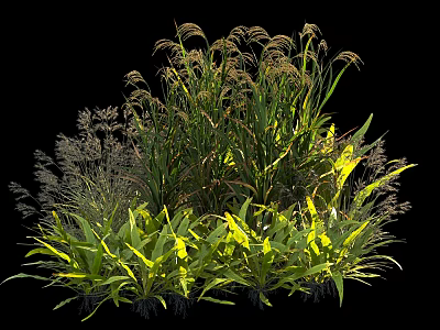 Diverse Garden Shrubs With Lush Green Foliage And Mixed Plant Varieties 3d model