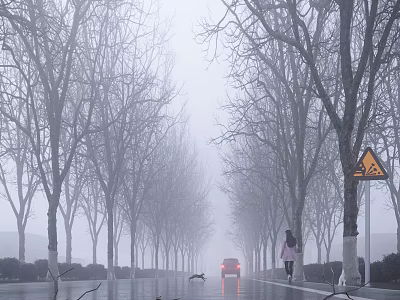 Tall Bare Trees Along Foggy Road With Red Car Pedestrian And Warning Sign 3d model