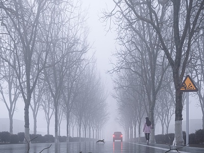 Modern Road Misty Village Road 3d model