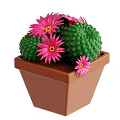 Green Spherical Cactus Plant with Pink Flowers and Spines in Brown Pot