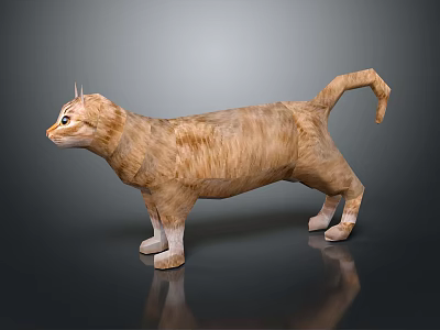 Orange Cat in Standing Posture on Gray Background with Reflection 3d model