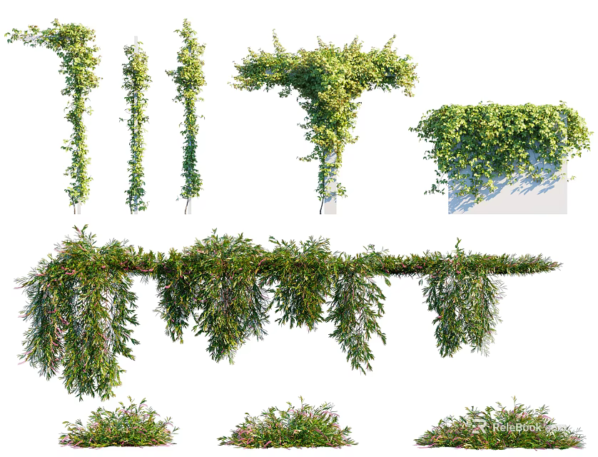 Various Types Of Green Vines With Climbing Hanging And Ground Covering Growth 3d model 