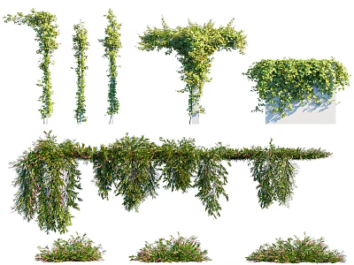 Various Types Of Green Vines With Climbing Hanging And Ground Covering Growth 3d model