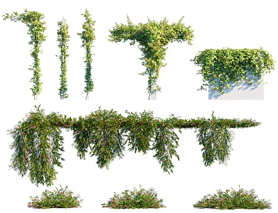 Various Types Of Green Vines With Climbing Hanging And Ground Covering Growth 3d model