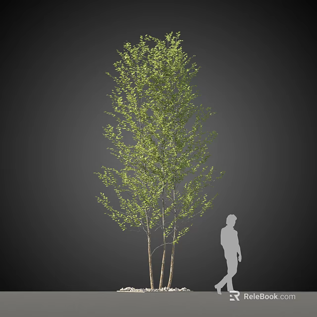 Tall Arbor with Green Leaves and Multiple Trunks Beside Human Silhouette 3d model 