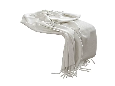 Light Colored Soft Blanket With Fringe Details And Cozy Texture 3d model