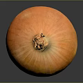 Fresh Golden Yellow Onion With Shiny Smooth Surface Isolated On Black Background