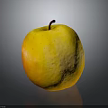 Juicy Fresh Ripe Yellow Apple With Shiny Surface On Gray Background
