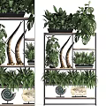 Elegant Garden Decor Display With Multi Tiered Shelves Various Plants And Decorative Ornaments