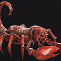 Realistic Scorpion Modern Realistic Animal Reptile Scorpion game 3d model