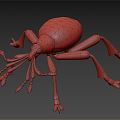 Modern weevil cartoon weevil 3d model