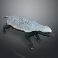 Realistic 3D Honey Badger Model With Black And White Fur Standing Pose
