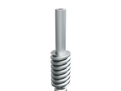 Metal Screw Shaft with Helical Threads for Industrial Machinery Applications 3d model