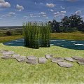 Tall Green Grasses In Central Pond With Stone Path And Scenic Grassland View