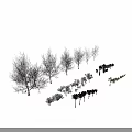 Diverse Collection of Tree and Plant Models in Various Sizes and Species Types