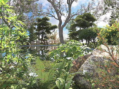 Lush Green Shrubs In Serene Garden With Rocks And Foliage Plants 3d model