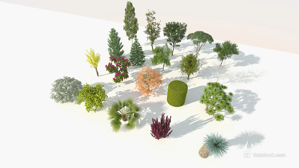 Various Arbor Species With Different Shapes Sizes And 3D Models 3d model