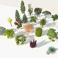 Various Arbor Species With Different Shapes Sizes And 3D Models 3d model