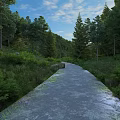 Scenic Forest Path Through Lush Green Vegetation With Tall Trees And Blue Sky 3d model