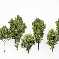 Green Tree Combination With Various Sizes And Different Shapes On White Background 3d model