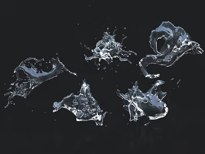 Water Splash Shaped Decorative Ornament Set on Black Background for Modern Home Decor 3d model