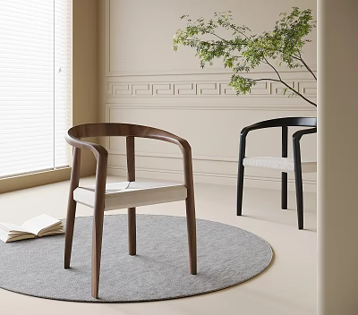 Modern Wooden Dining Chairs With Armrest In Light Room With Gray Rug And Green Plant 3d model
