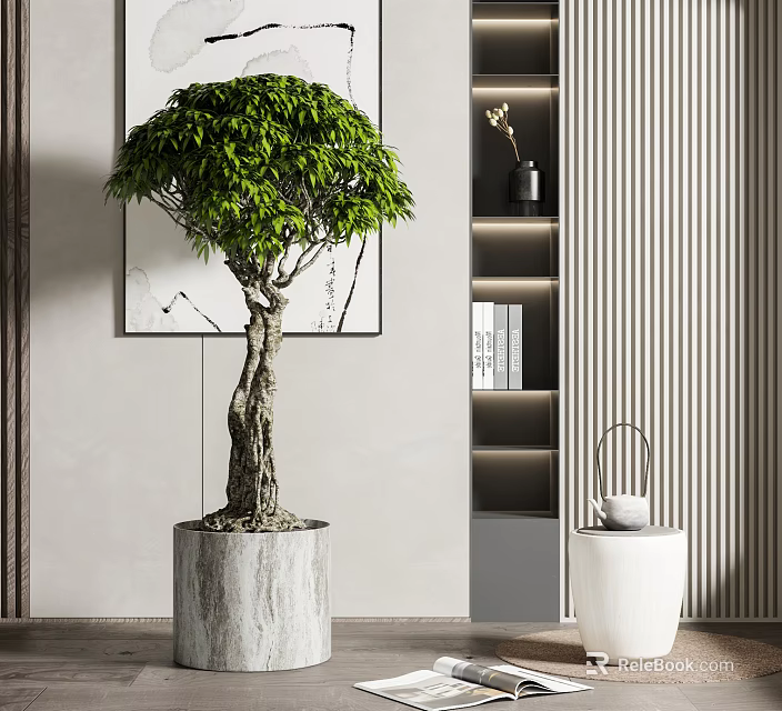 Lush Green Bonsai Tree With Twisted Trunk In Concrete Pot Modern Interior Decor 3d model 