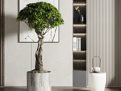 Lush Green Bonsai Tree With Twisted Trunk In Concrete Pot Modern Interior Decor 3d model