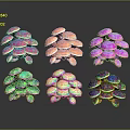 Vibrant Mushroom Like Plants With Shiny Surface Various Colors And Reflections On Dark Background
