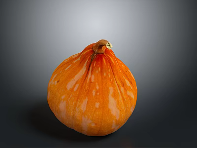 Fresh Orange Round Pumpkin With White Spots On Dark Background 3d model