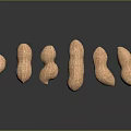 Various Shaped Peanuts In Shells Arranged On Dark Reflective Background Surface 3d model
