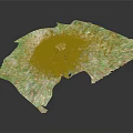 Leaf Shaped Green Object With Textured Root Like Structure And Central White Element