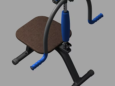 Playground Equipment With Black Frame Brown Seat Blue Handles Adjustable Feature Seated Design Stable Base 3d model