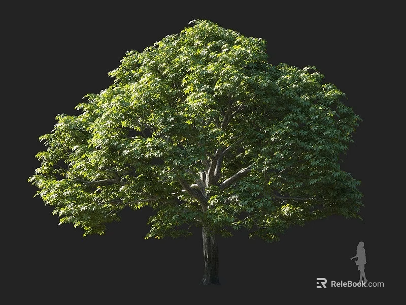 Lush Green Tree With Dense Foliage Tall Trunk And Human Silhouette 3d model 