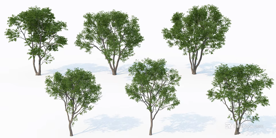 Multiple Arbor Trees With Green Foliage And Brown Trunks For Landscape Design 3d model